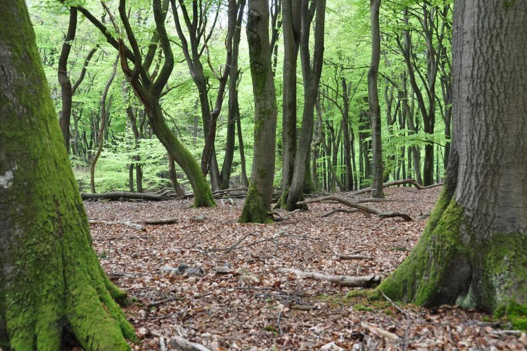 Op Boszicht Genieten Van De Rust & Natuur Путен Екстериор снимка